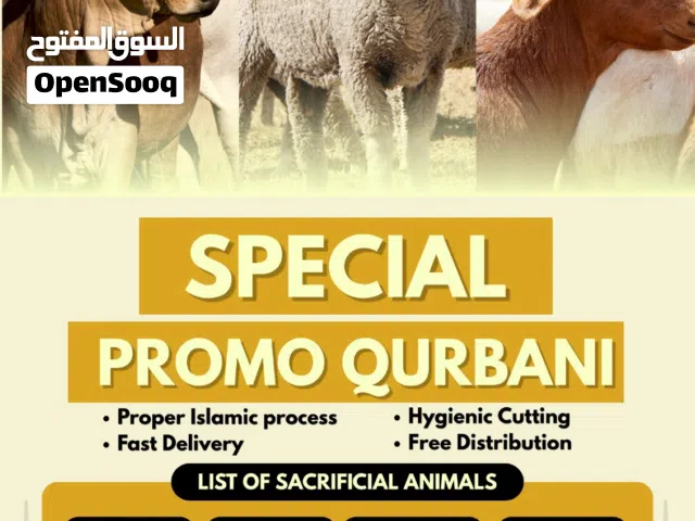 Qurbani promo