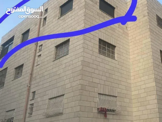ام عمر عوض الله