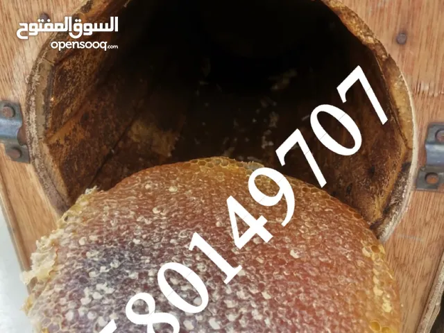 عسل طلح بلدي