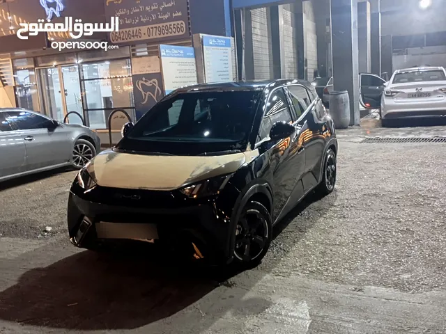 Used BYD Seagull in Amman
