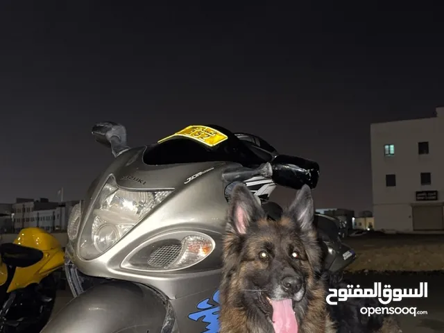 جيرمن شولاين للبيع اصل