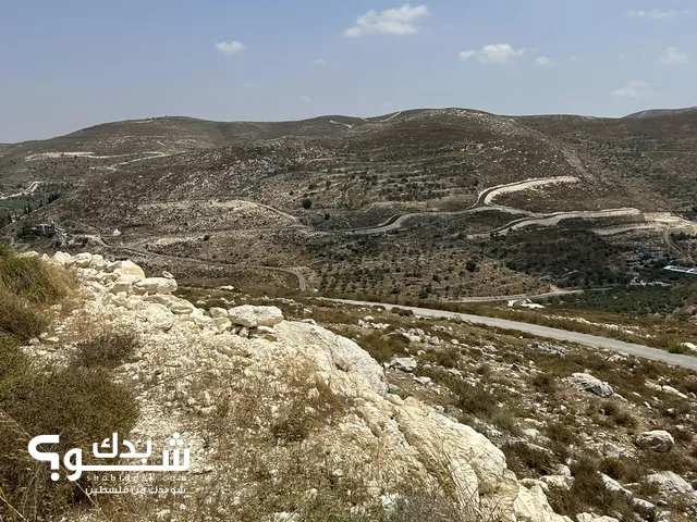 Residential Land for Sale in Nablus Beit Imreen