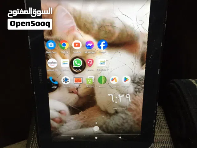 Samsung Others 16 GB in Cairo