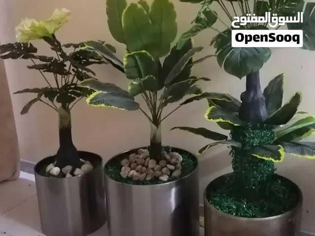 أصيص زرع معدن لامع مع الشجر وطاولات كريستال وارفف خشب