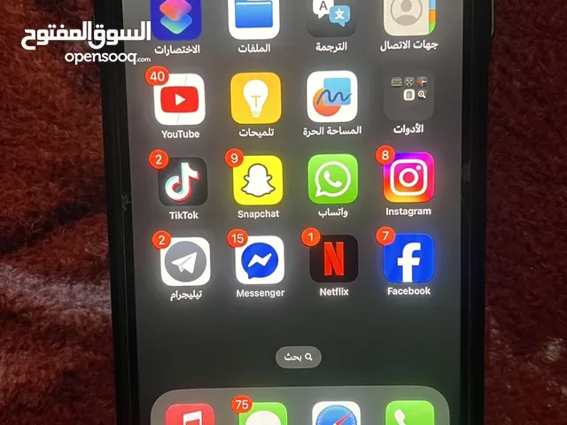 Apple iPhone 12 Pro Max 256 GB in Basra