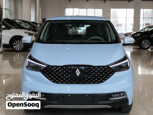 2026 JMEV EV3