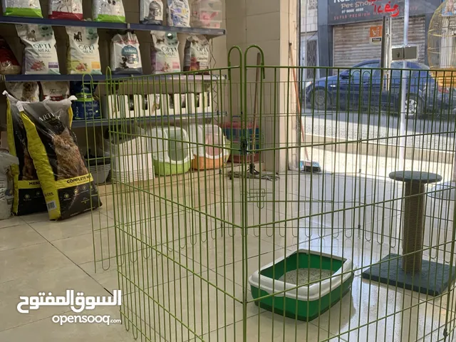 Unfurnished Shops in Amman 1st Circle