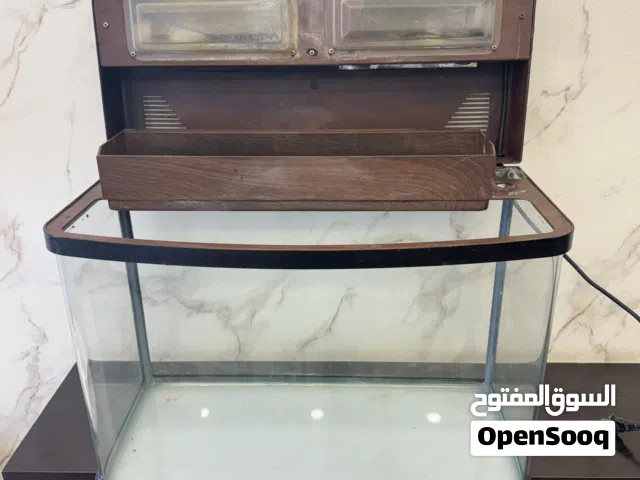 حوض سمك اجنبي