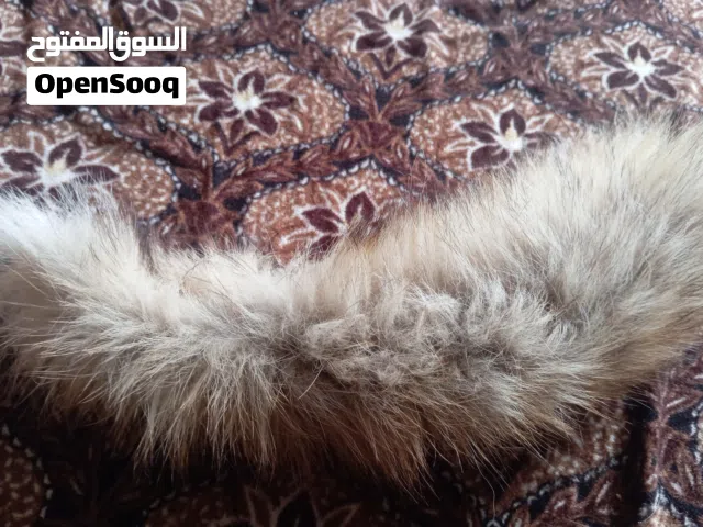 ذيل ذيب سعره 50دلار