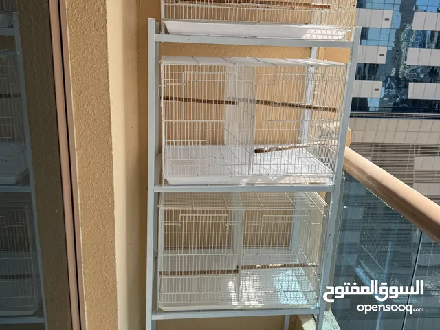 أقفاص طيور مع حامل أقفاص مع مستلزمات طيور