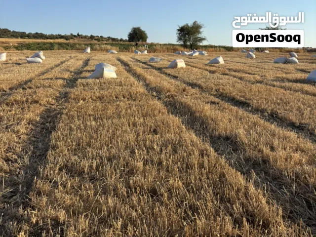 خيشات تبن قمح للبيع نظيفات جدا.  السعر 2.5 نهائي. كفراسد
