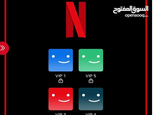 Netflix 1 profile 30 days warranty movies cars action sale