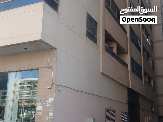 بنات للمشاركة فى سكن