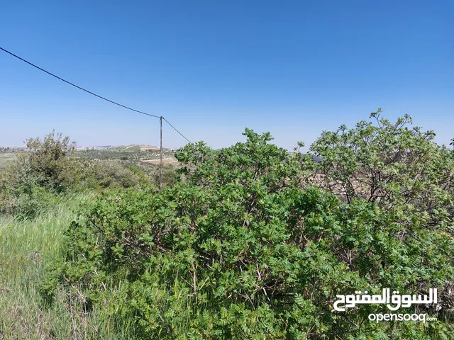 Farm Land for Sale in Jerash Other