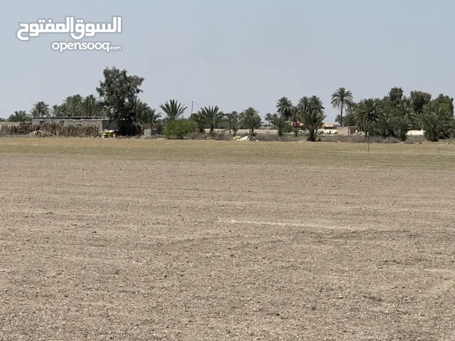 Farm Land for Sale in Baghdad Taji