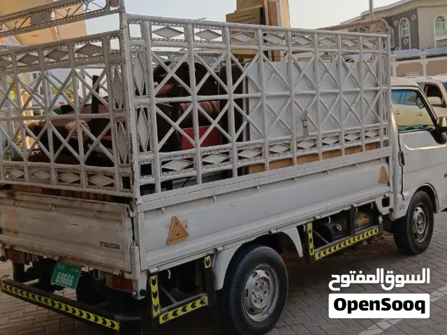 Best Movers and Packer Service all UAE all kind Furniture dismantel and fixing Carpenter availeble