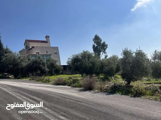 ارض للبيع في بدر الجديدة دونم عاليه جداً اطلاله بانورامية كاشفة فلسطين والسلط منطقة فلل