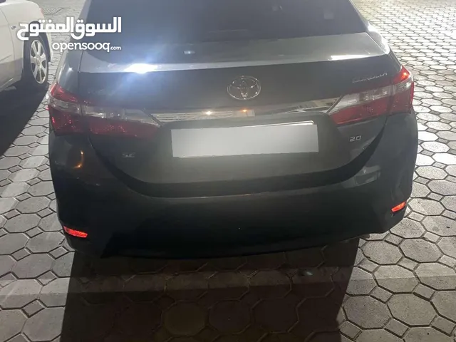 Used Toyota Corolla in Ajman
