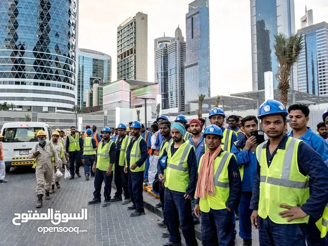عمال مقاولات جميع تخصصات