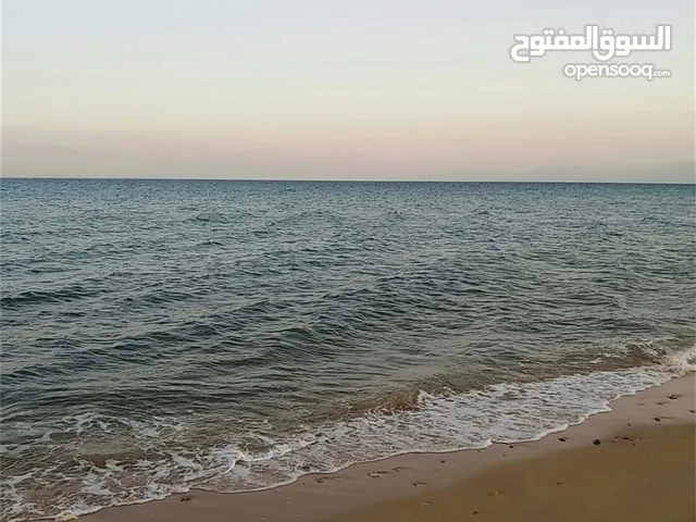 استاذه رشا عين السخنه انكسر الاسعار