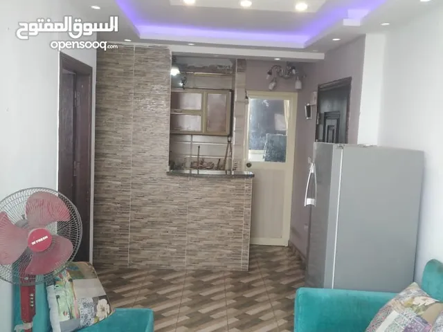 75m2 2 Bedrooms Apartments for Rent in Alexandria Bahray - Anfoshy