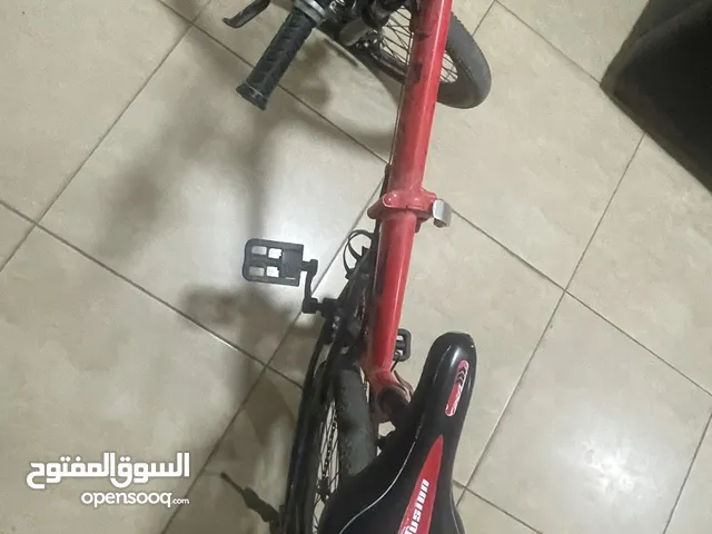 Adult bicycle for Sale