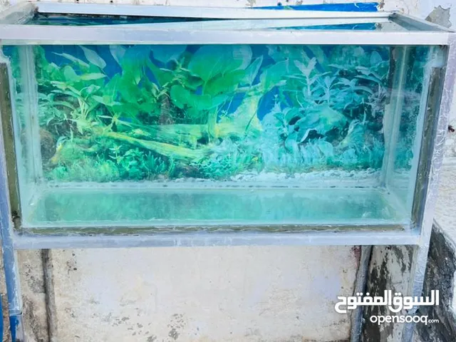 حوض سمك للبيع جميع أغراضه معه طول متر وربع عرض نص متر عمق نص متر