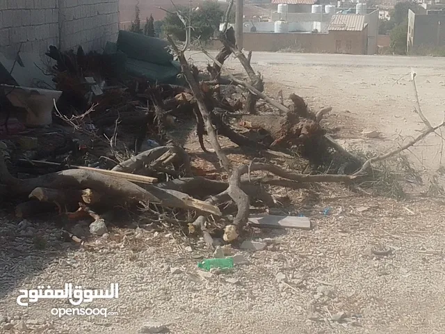 موجود حطب للبيع