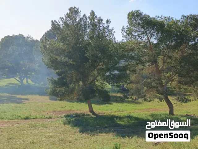 100 m2 2 Bedrooms Townhouse for Rent in Benghazi Qawarsheh