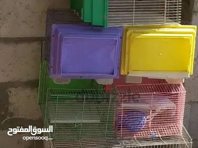 للبيع اقفاص