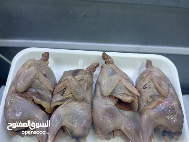 لمحبين طيور السمان الطازج الحجم الكبير