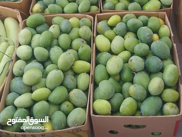 مانجو اخضر عماني طعم وجودة باذن الله