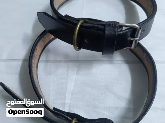 طوق كلاب للبيع ب 5 دنانير للقطعه الواحده