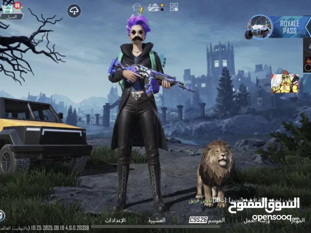 Pubg Accounts and Characters for Sale in Southern Governorate