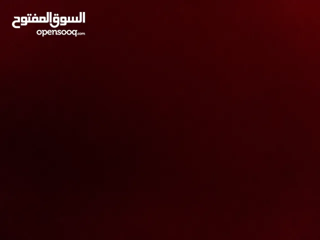 كتكوت عربي امخلط