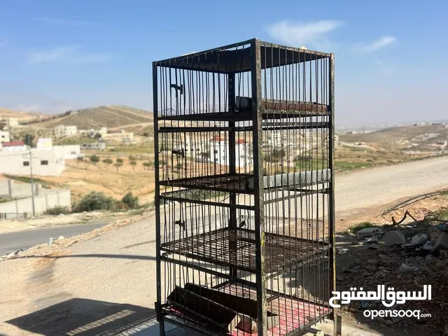للبيع عدة محل دجاج