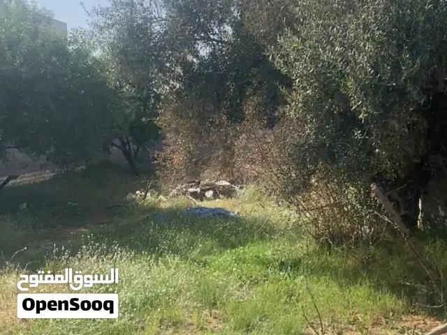 قطعة ارض للبيع بسعر والله كزيوني صاحب الرزق مستحق ضروري