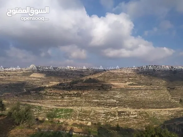 Mixed Use Land for Sale in Hebron Halhul