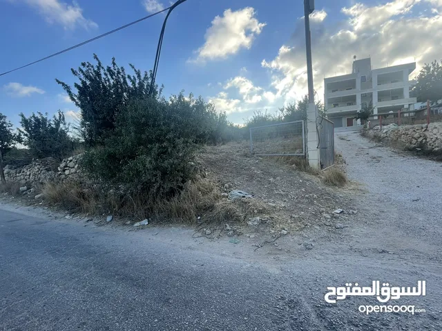 ارض للبيع بنص السعر و دقيقة عن خط ستين و 10 دقايق عن راس الجورة ، موقع ممتاز واصل كافة الخدمات
