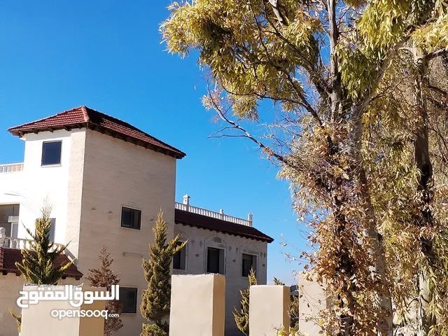 1000 m2 More than 6 bedrooms Villa for Sale in Mafraq Other