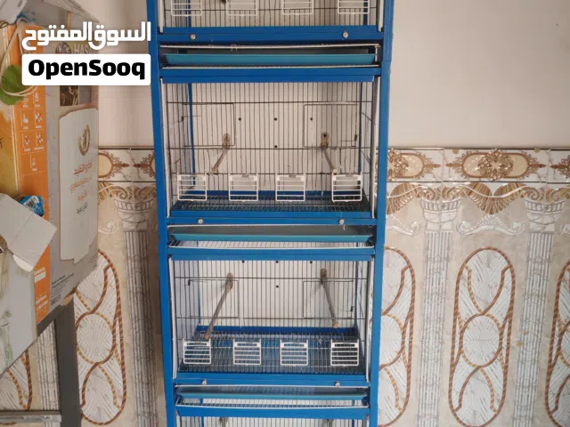 خانه تركية نظيفة