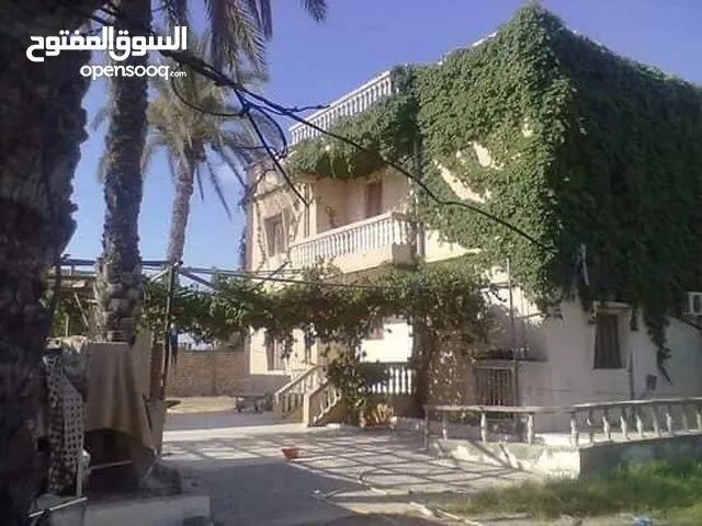 250 m2 More than 6 bedrooms Townhouse for Sale in Tripoli Other