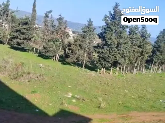 مطلوب مستثمر جاد