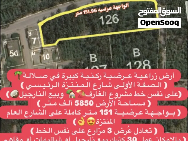 مزرعة صلاله للبيع
