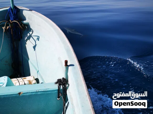 قارب 20قدم مع ملكيه حره ومكينه 85 نضيفه القارب مزود فيه محلق وفيه صندوق