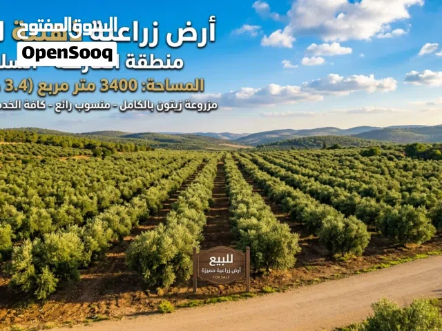 Farm Land for Sale in Salt Al Subeihi