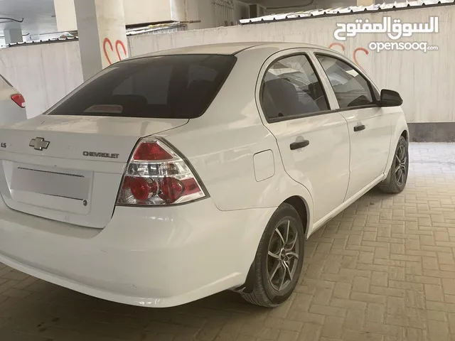 شفر ايفو سونيك