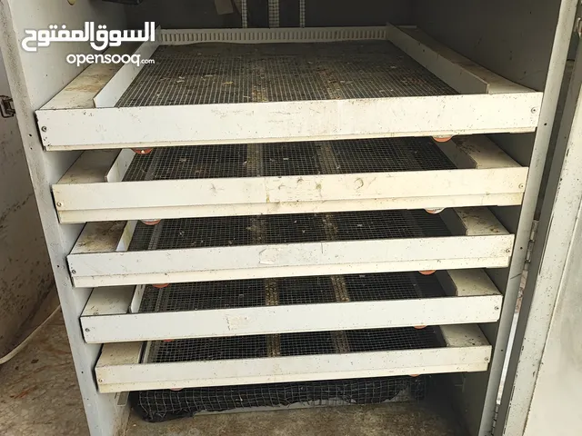 للبيع فقاسة ابو يوسف الباكستاني 550 بيضة