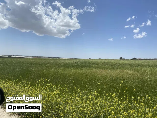 Mixed Use Land for Sale in Amman Airport Road - Madaba Bridge