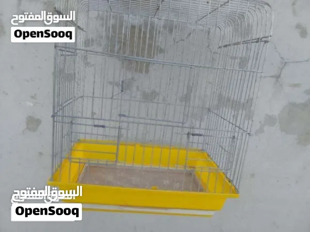 10 دينارر فقط